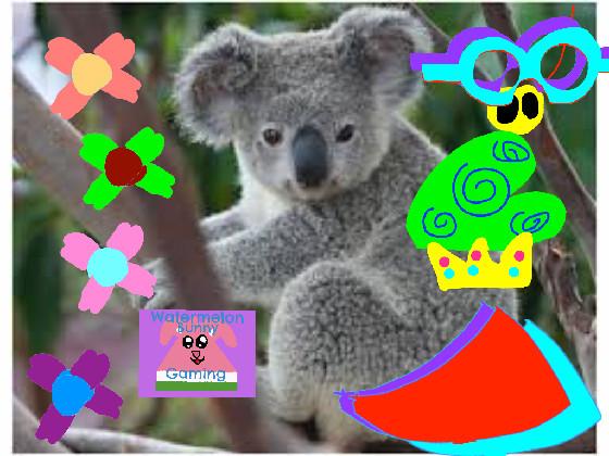 koala dress up upgraded 1