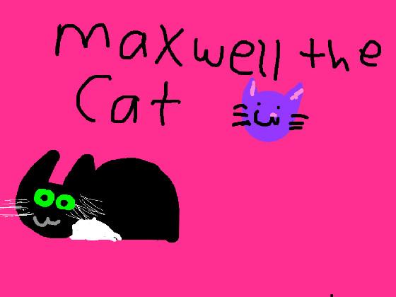 maxwell the cat 1 1