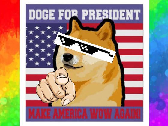 is Doge best president?