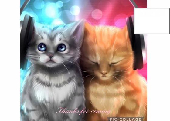 Dj cat music 1