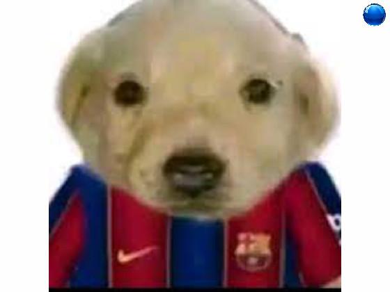 Perro Messi