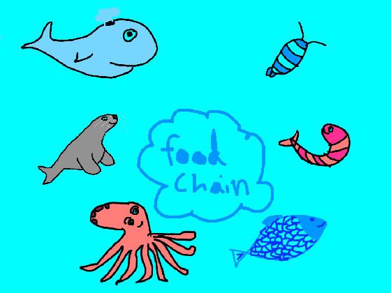 Food Chain