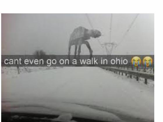 OHIO MEMES funny💀😂 1 1