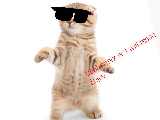 Cats are cool 😎 1