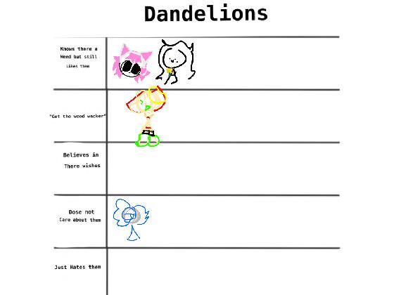 dandelions 1 1 1