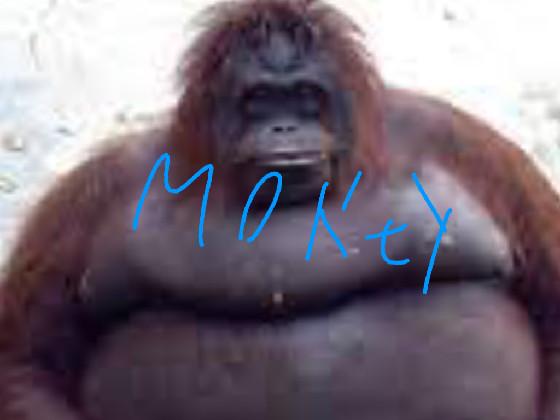 monkey boy 1