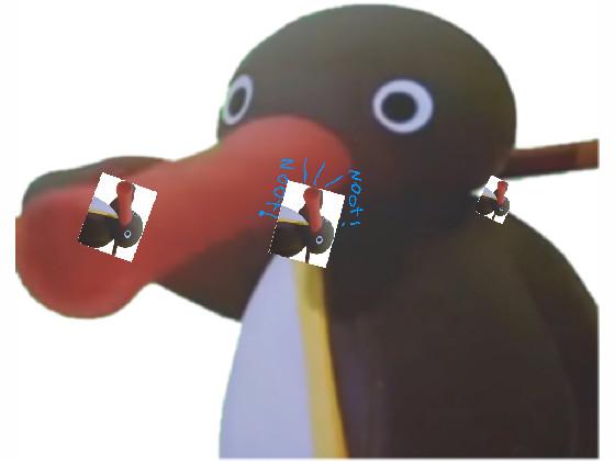 the Beramuda noot noot! 1