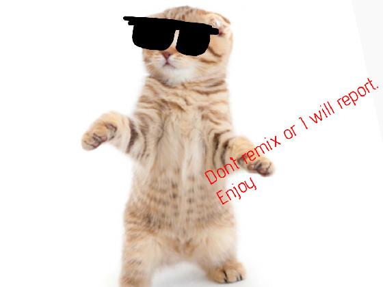 Cats are cool 😎 1 1