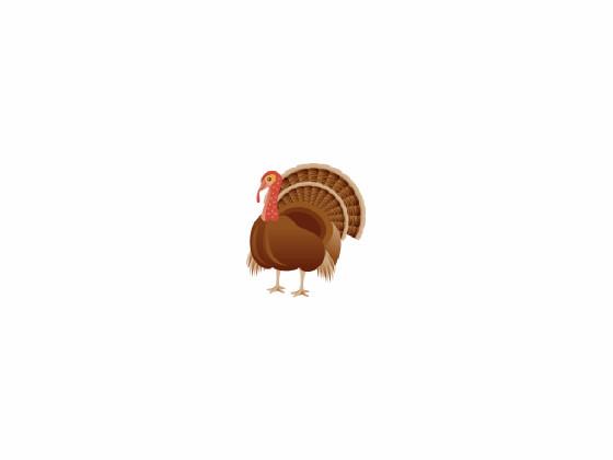 jumping turkey