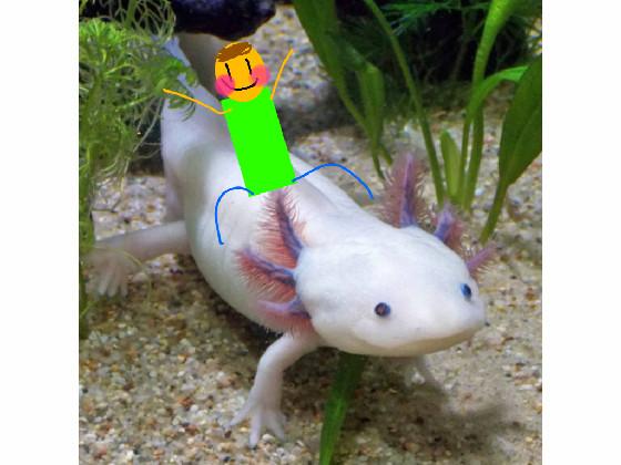 add ur oc on da axolotl