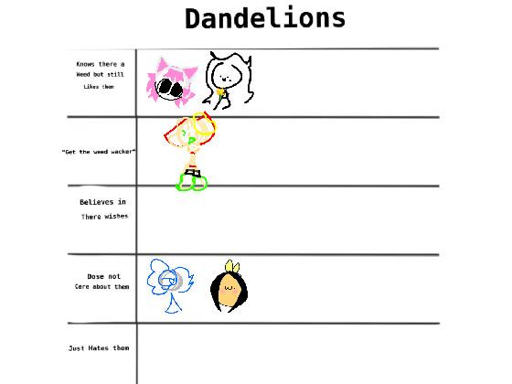 dandelions 1 1 1 1