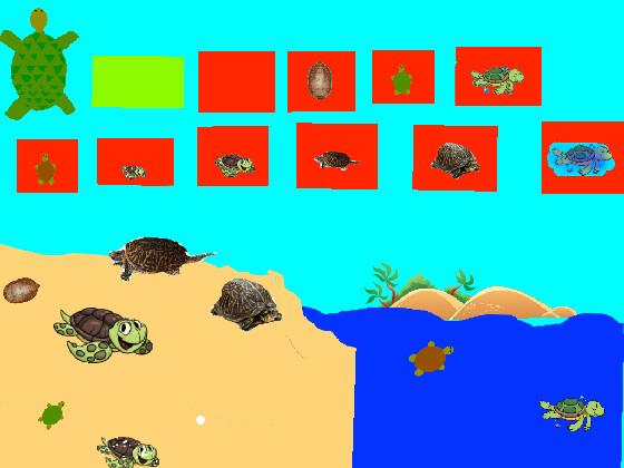 Turtle Clicker!  1