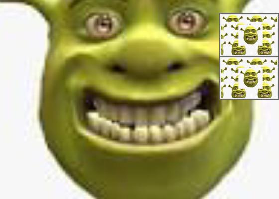 Shaking Shrek 1 1 1