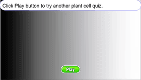 Plant Cell Quiz - TEMPLATE