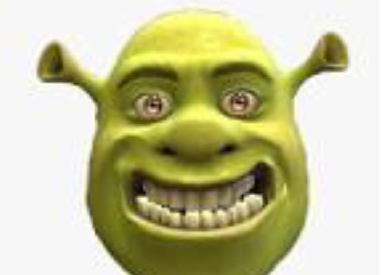 SHREKY THE ROCK ROLLS