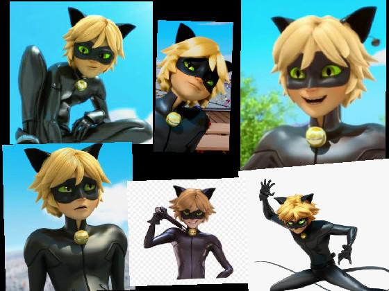 happy girl cat noir 😘