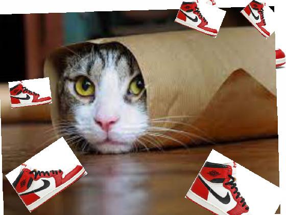 buckle my shoe  CAT