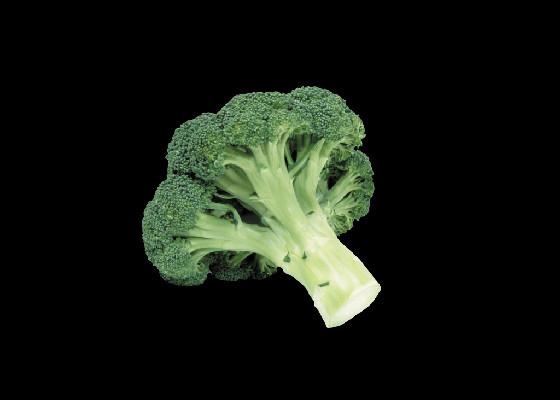 spinner broccoli 