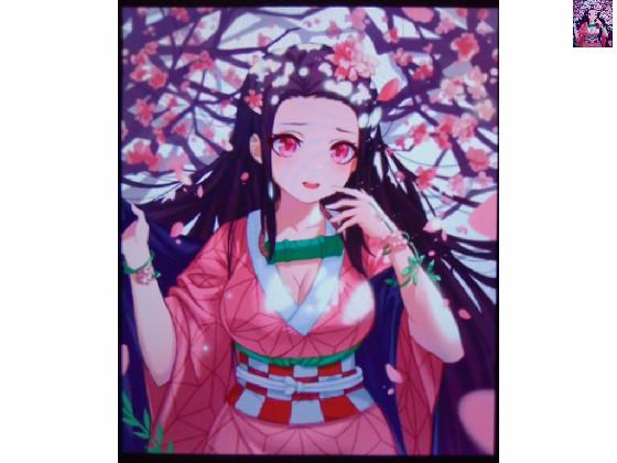 Spin Draw nezuko