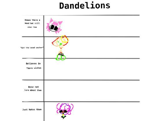 dandelions 1 1