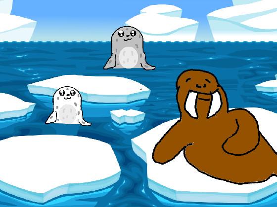 Seals and Walrus 1