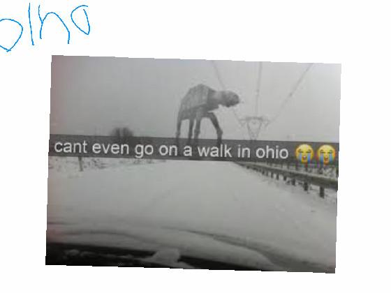 OHIO MEMES funny💀😂 1 1