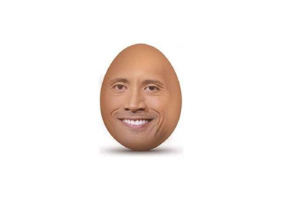 dont touch the rock egg