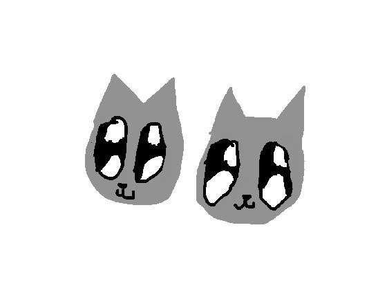 twin cat animation 