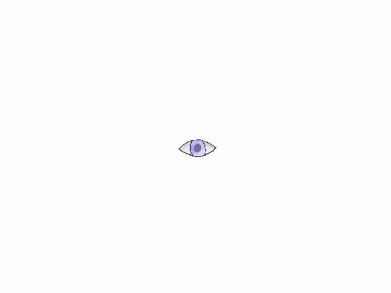 eye practice