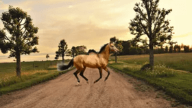 old town road song