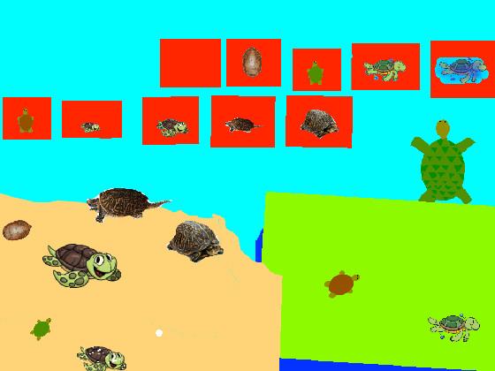 Turtle Clicker!  1 1