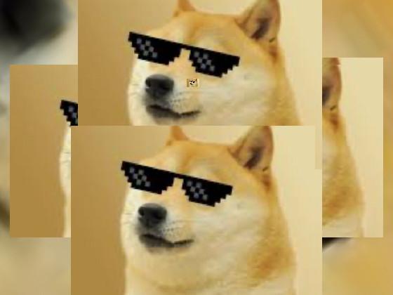 DOGE memes boi