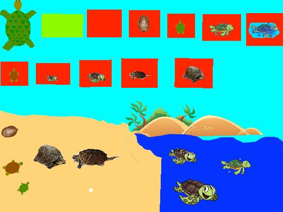 Turtle Clicker!  4