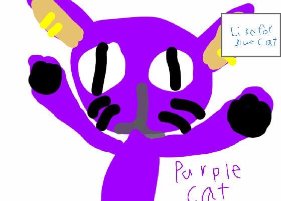 purple cat