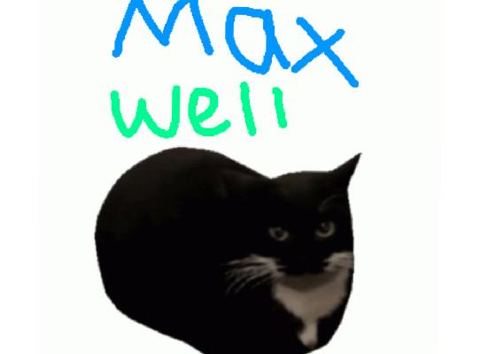 maxwell the cat animated 1