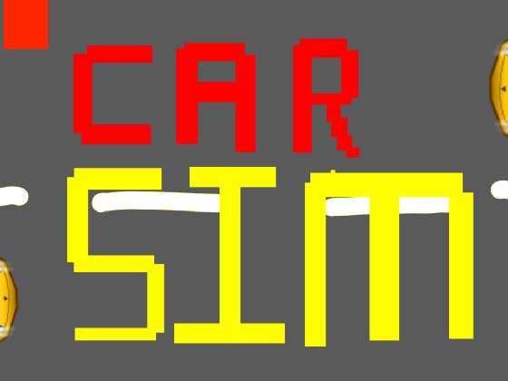 car sim 2