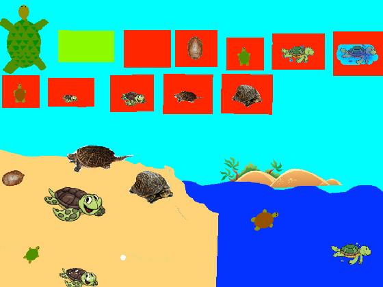 Turtle Clicker!  1