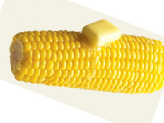 Da CoRn SoNg :)