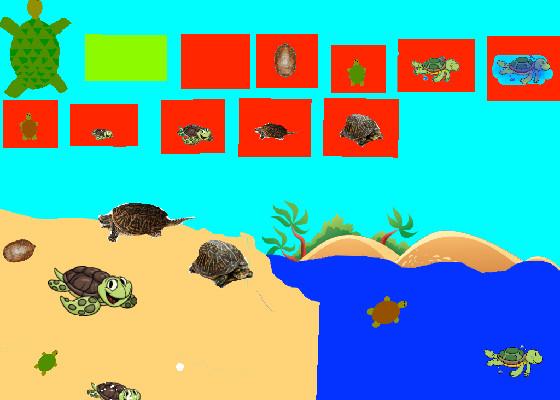 Turtle Clicker!  3