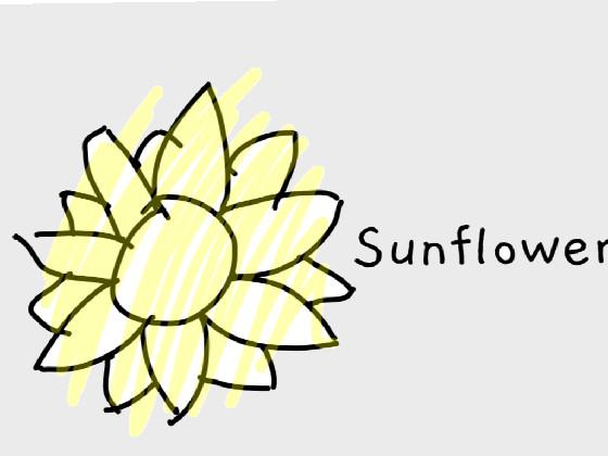 🌻✨SUNFLOWER✨🌻