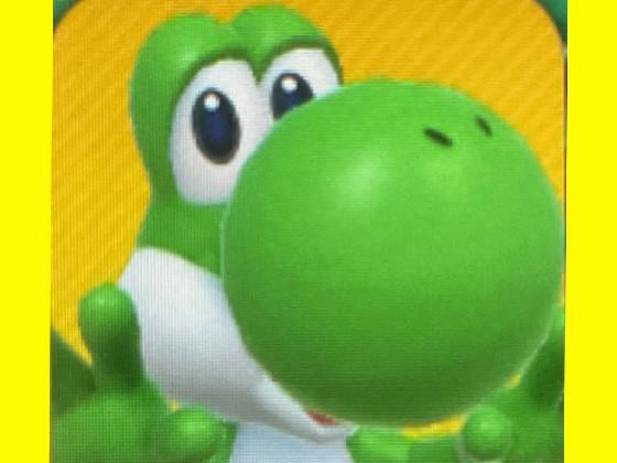 MR.Yoshi