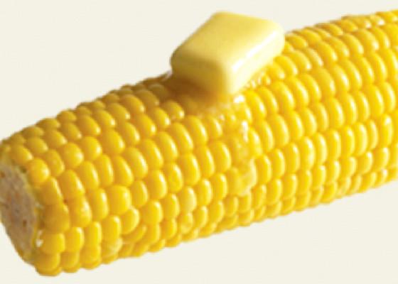 Da CoRn SoNg :)