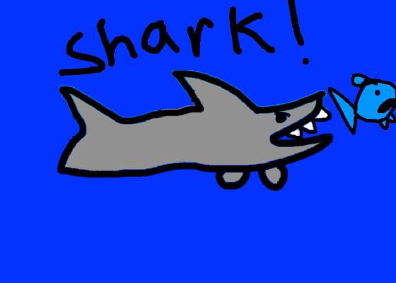 Shark! 1