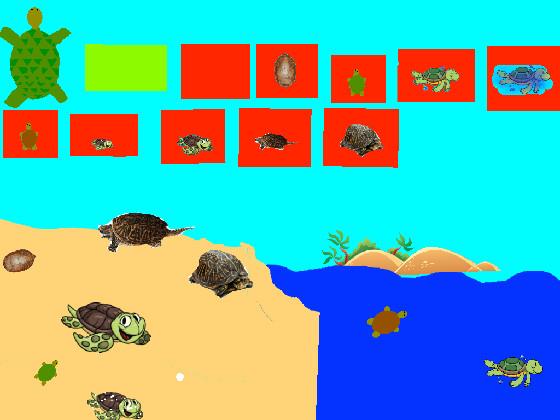 Turtle Clicker!  1