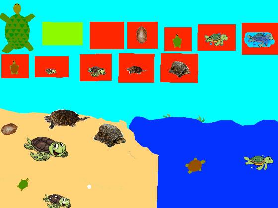 Turtle Clicker!  1