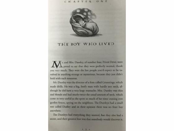 Harry Potter Book