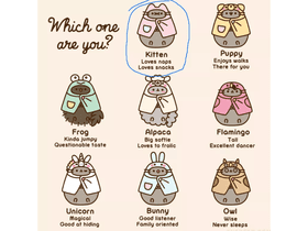 Adopt-A-Pusheen 4