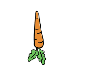 carrott sspiineer