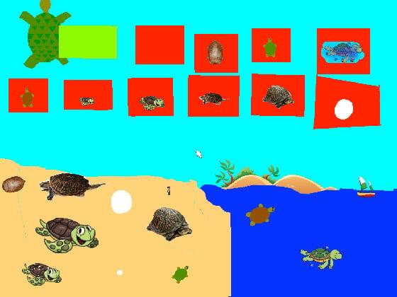 Turtle  world maker