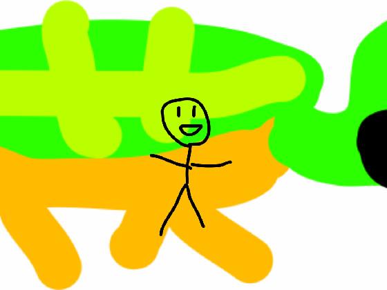 i like turtles